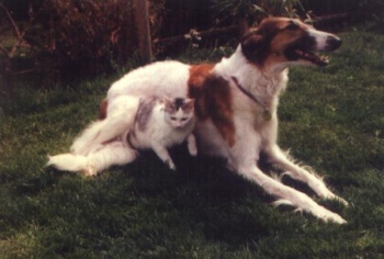 Anagar und Daisy, 1995