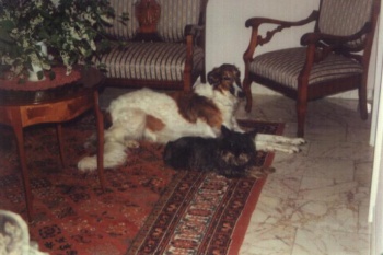 Gina und Angara, Herbst 1994