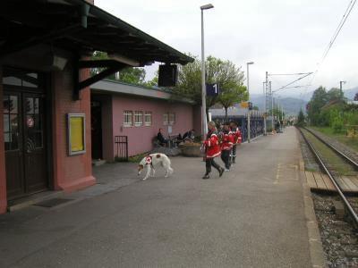 Hinterzarten 13. Mai 2004